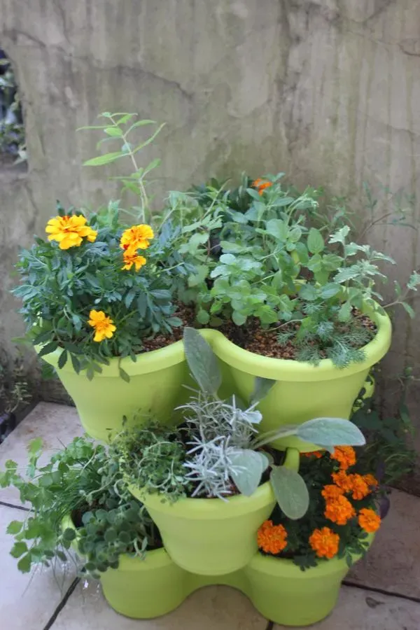 おしゃれに見せるハーブの寄せ植えアイデア集