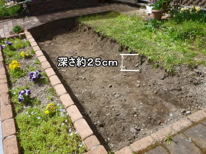 なぜ必要？芝生が育たない土壌のサイン