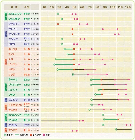 なぜ果樹栽培の年間計画が重要なのか？