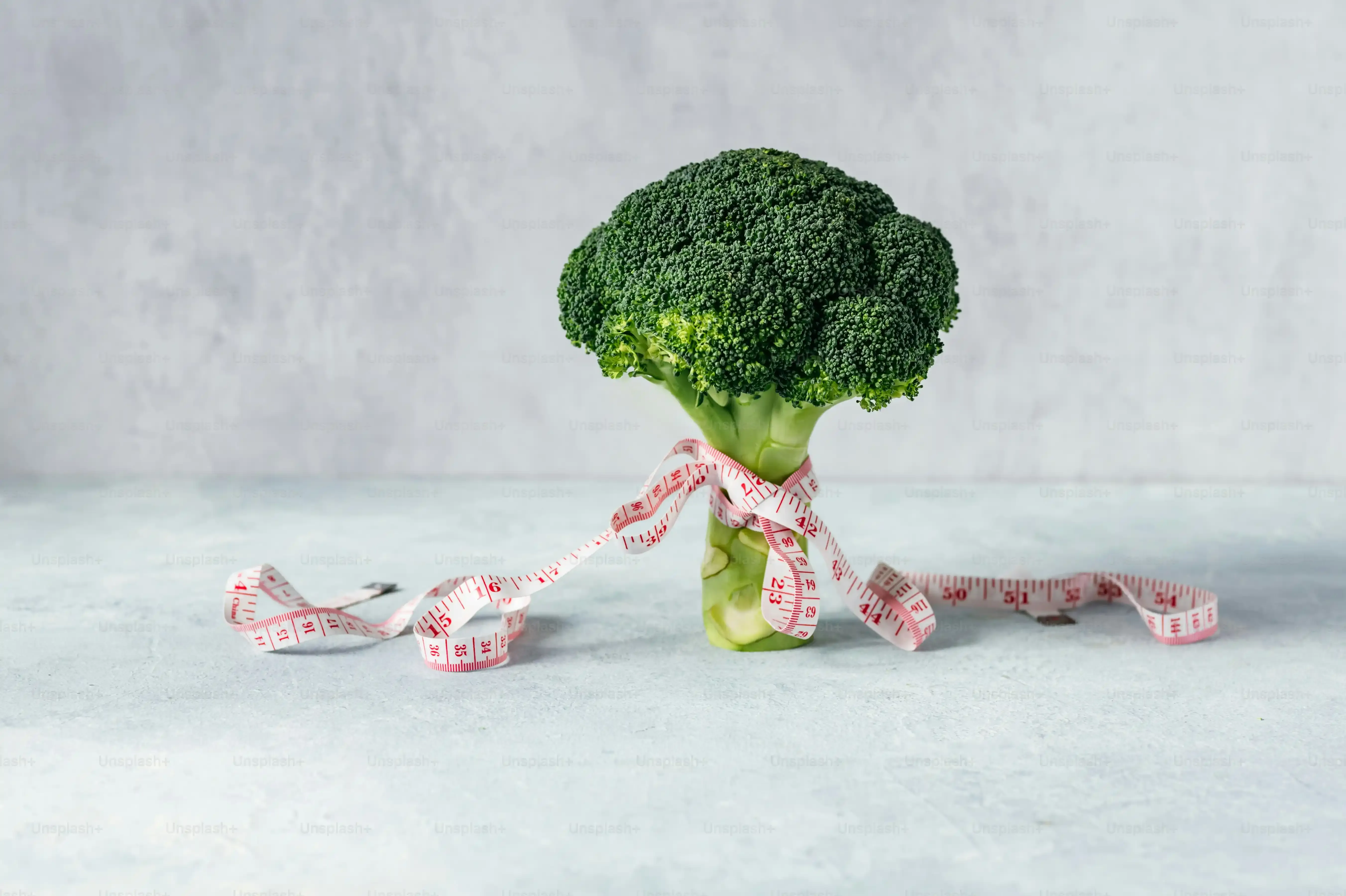 もし多肉植物が枯れてしまったら？復活のヒント