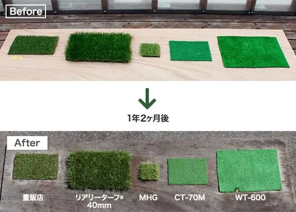 プロが教える芝生の耐久性を上げる年間メンテナンス計画