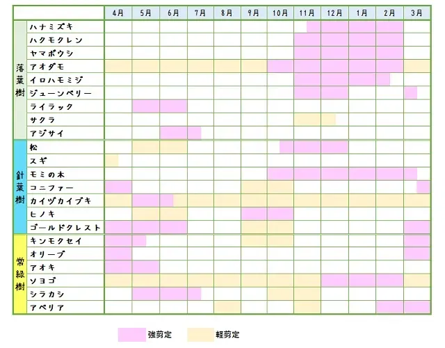 一般的な果樹の剪定時期はいつ？