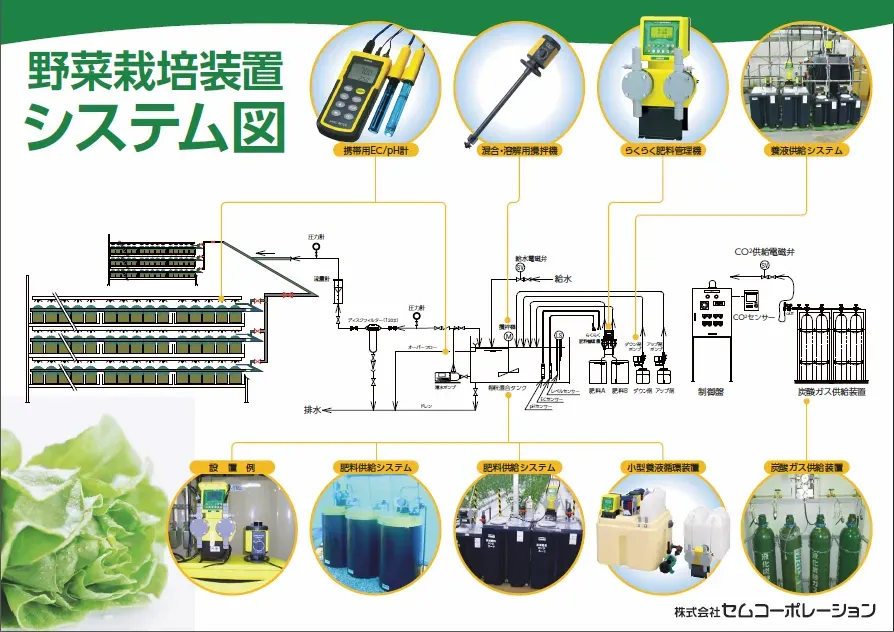 初心者におすすめの水耕栽培システム