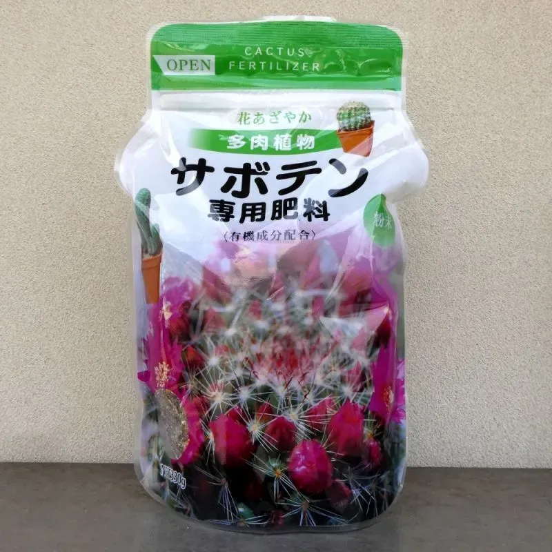 多肉植物の健康を保つ！肥料以外の重要ポイント