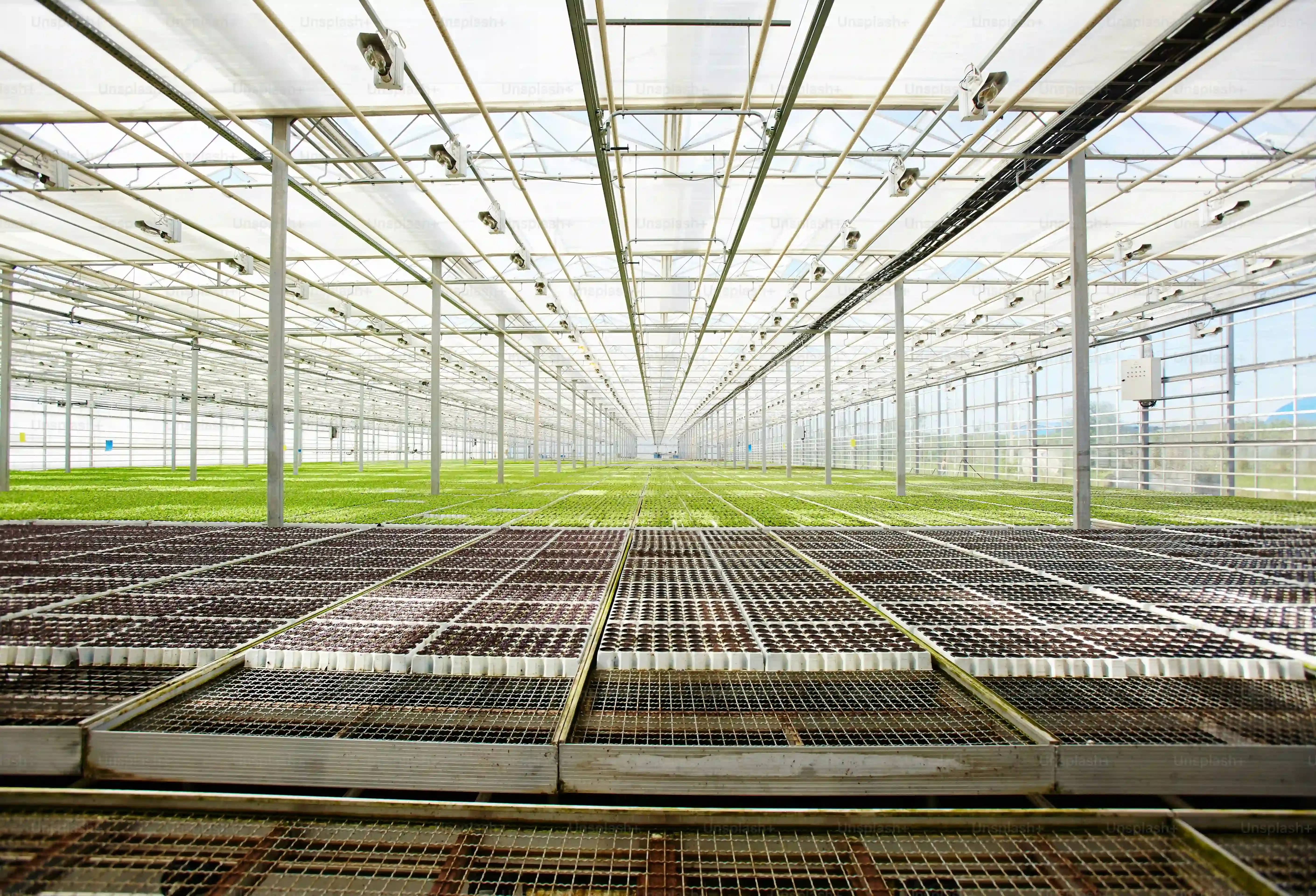 失敗しない！水耕栽培の照明設置のコツ【基本編】
