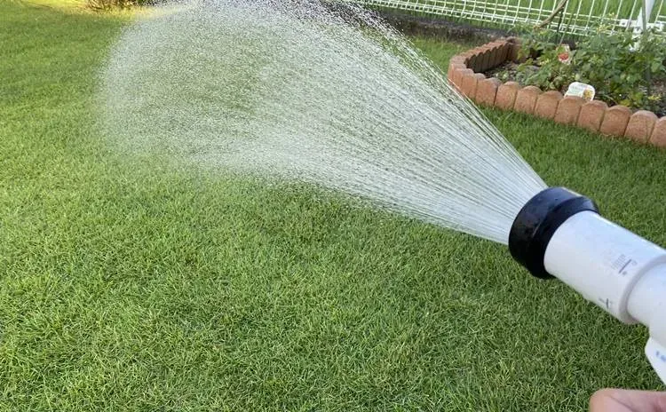 失敗しない！芝生の水やり頻度、基本を知ろう