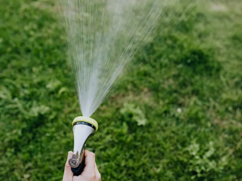 季節で変わる芝生の水やり頻度