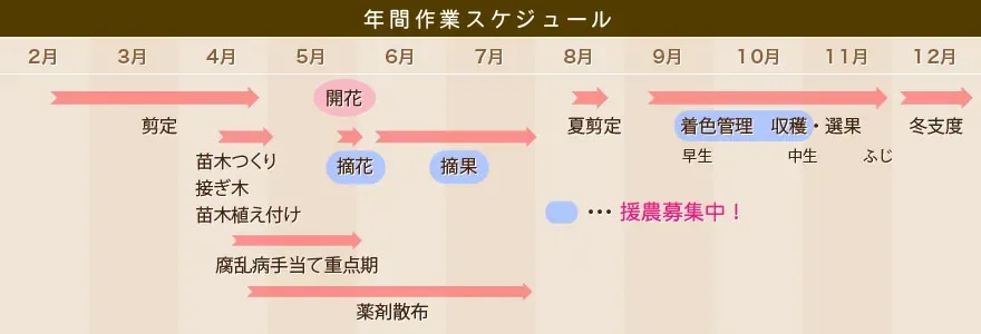 季節で変わる！果樹栽培の年間計画に盛り込むべき作業