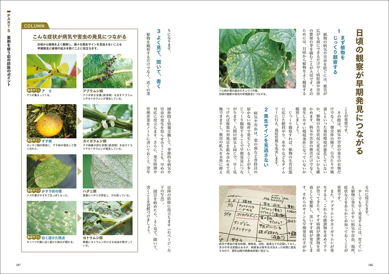 有機的な方法から効果的な薬剤まで：選択肢を知る