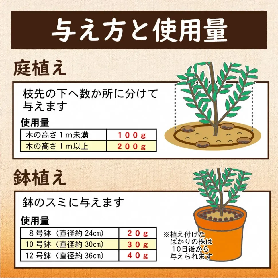 果樹に肥料はなぜ必要？基本の考え方