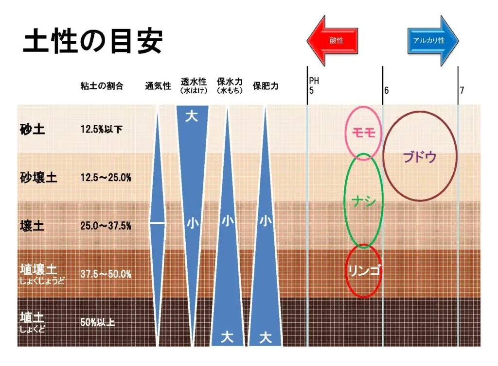 果樹栽培に適した土壌ってどんな土？ 基本を知ろう