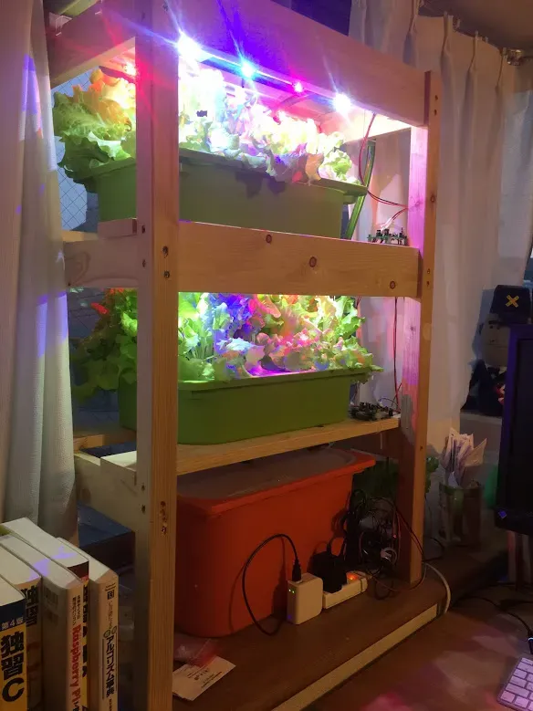 植物別・成長段階別！水耕栽培の照明設置応用テクニック
