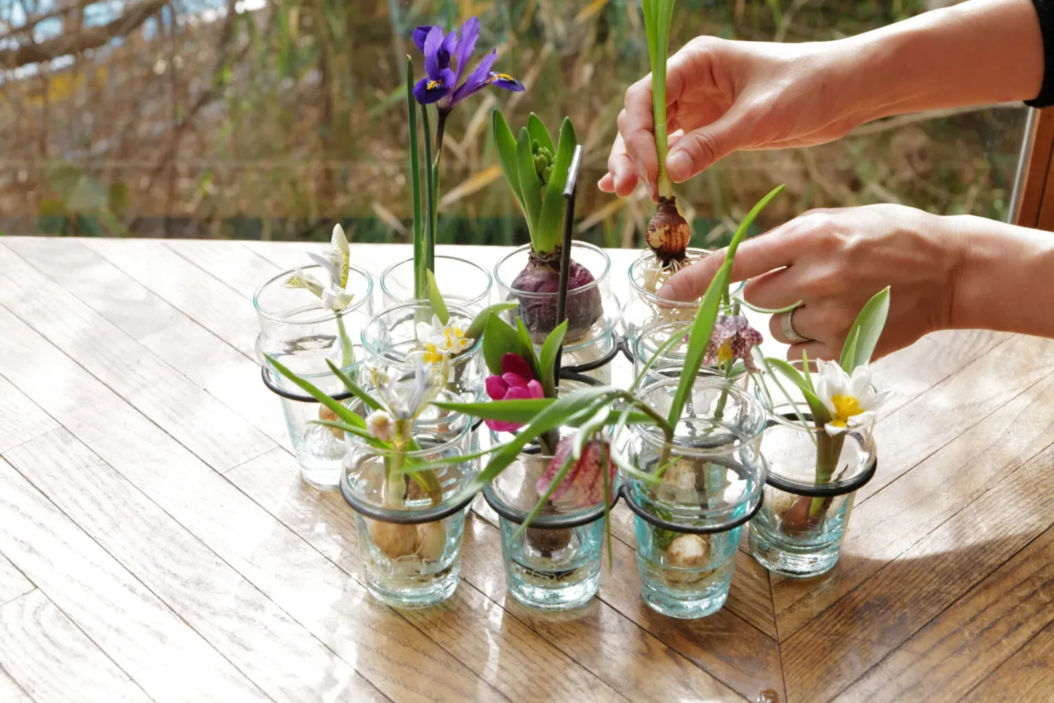 水耕栽培で育てる花のトラブルシューティング