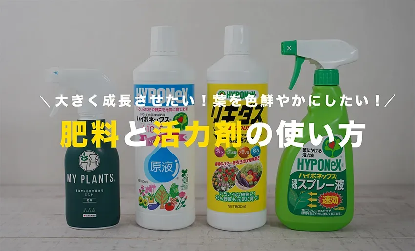 水耕栽培に肥料が必要な理由と土との違い