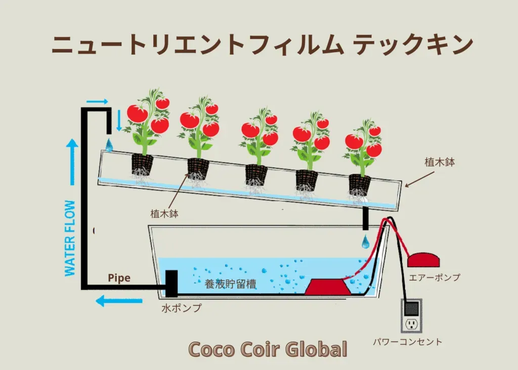 水耕栽培のシステムの選び方：メンテナンスと電力