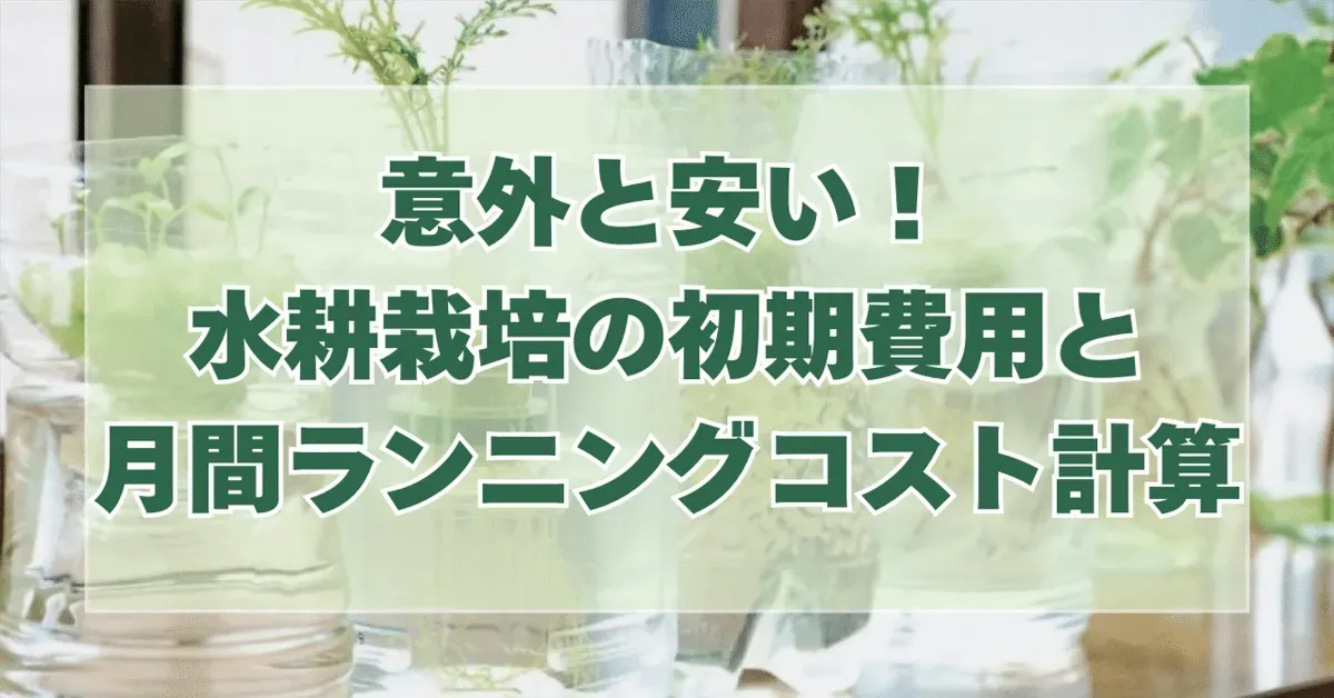 水耕栽培の初期費用、何にどれくらいかかる？