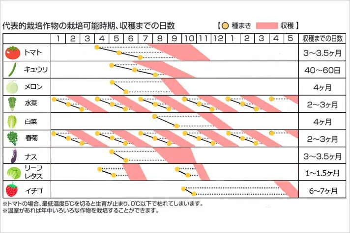 水耕栽培の収穫スケジュールに関するよくある疑問