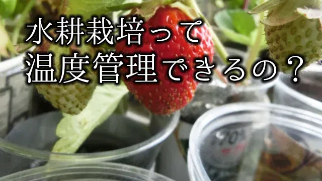水耕栽培の温度トラブル、どうする？