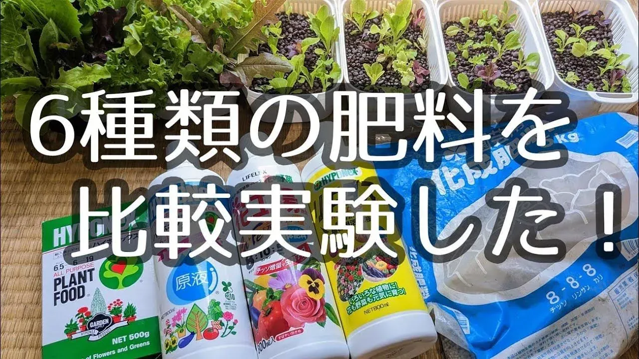 水耕栽培の肥料選び、種類と成分を知る
