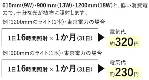 水耕栽培の電気代、何に使う？主要な消費電力源