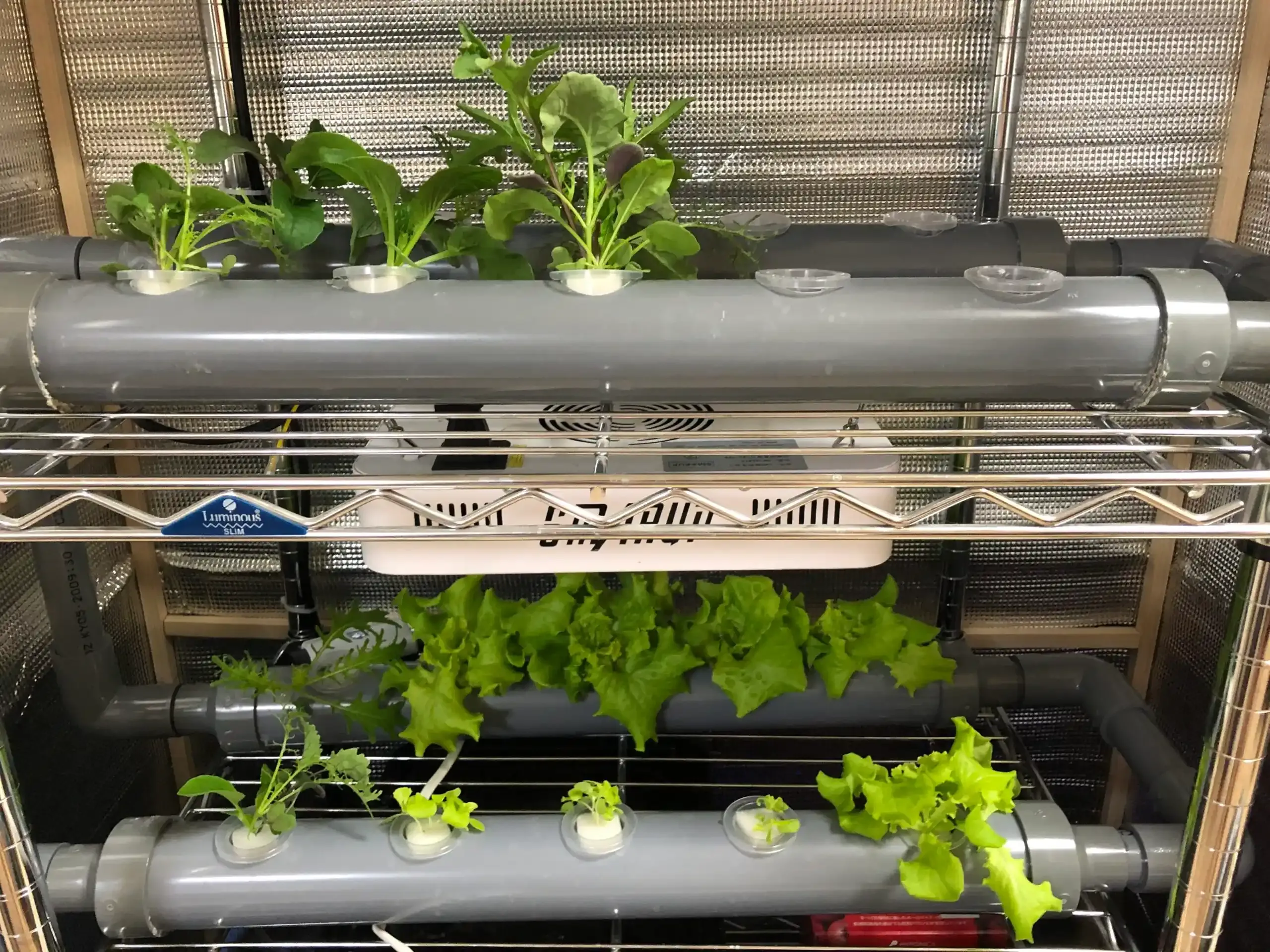水耕栽培のDIYプロジェクトに必要な材料と道具