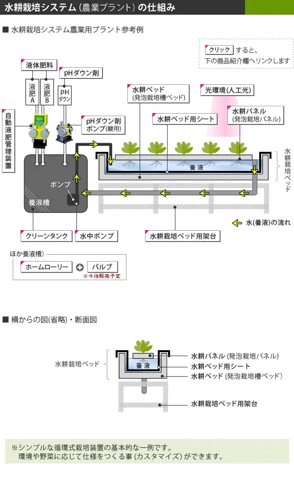 水耕栽培システムの種類を知る