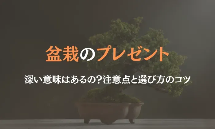 盆栽の種類別：プレゼントする際の注意点と選び方