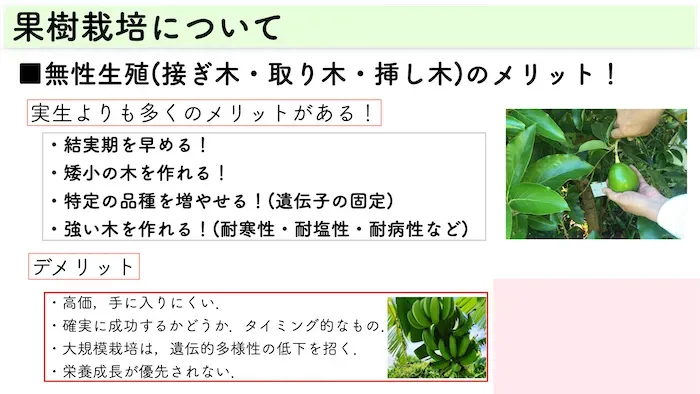 肥料と剪定で変わる！果樹の成長を促すテクニック