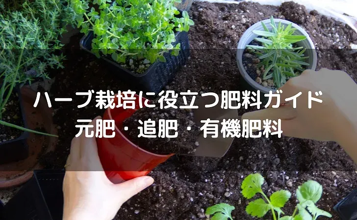 肥料を与えるベストタイミングとやり方