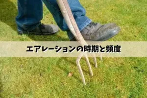 芝生のエアレーション、いつ、どうやる？