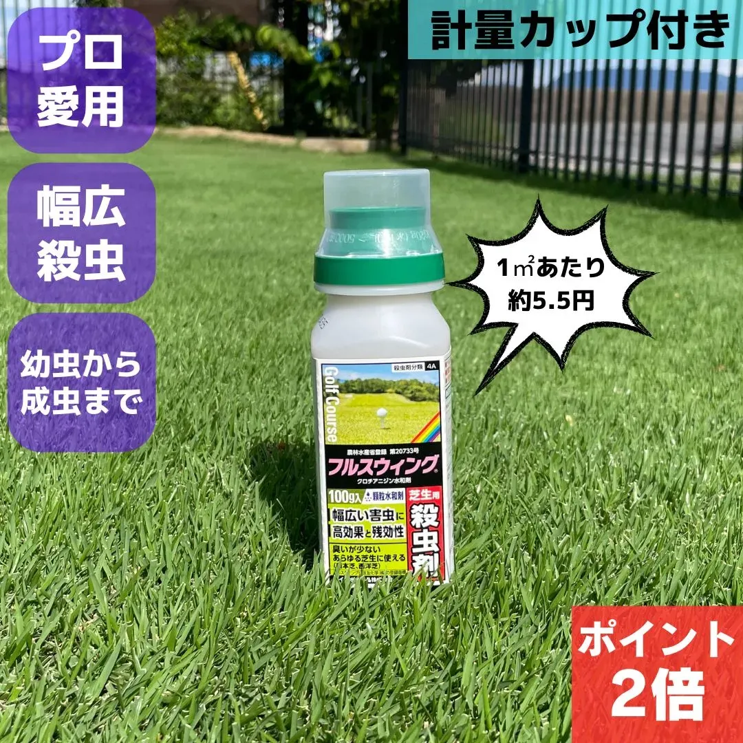 芝生の害虫を増やさない予防策