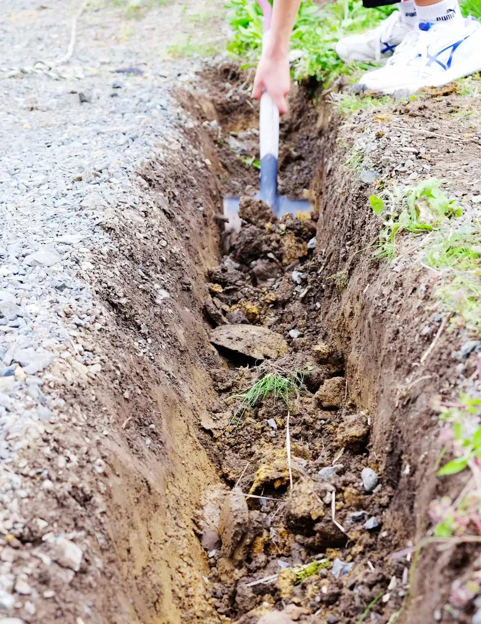 芝生の水はけが悪いサインと放置するリスク