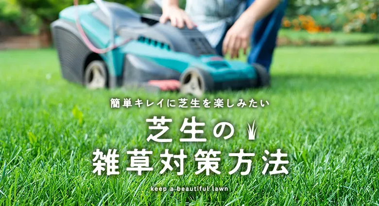芝生の雑草対策、なぜ必要？放置するとどうなる？