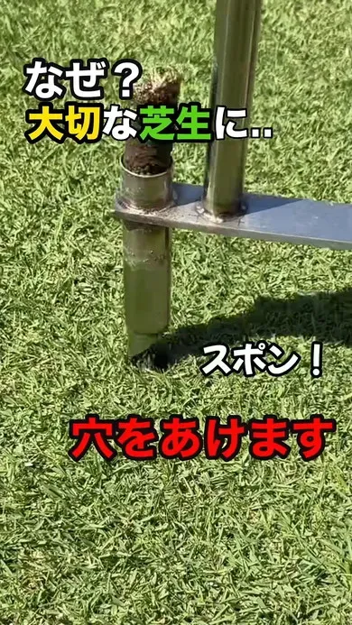 芝生のDIY手入れ術：年間スケジュールと季節のコツ
