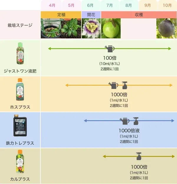 鉢植えと地植え、環境で違う果樹の水やり頻度
