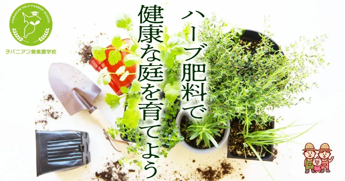 ハーブ栽培の肥料選び：劇的に香る！家庭菜園で絶対成功する決定版ガイド