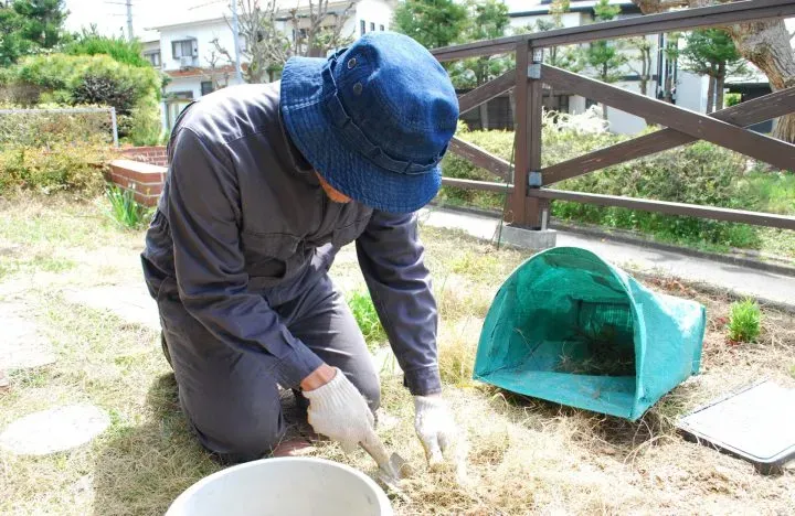 初心者向け芝生の手入れ：庭が見違える！プロ直伝の絶対成功テクニック