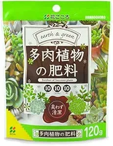 多肉植物の肥料選び：驚くほど簡単！絶対成功できる育て方