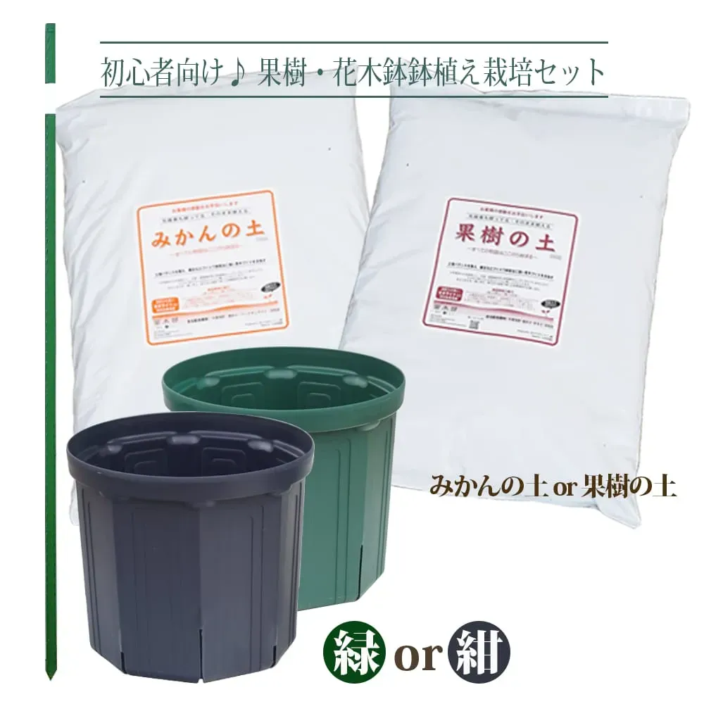 【決定版】「果樹栽培の初心者キット」選びで【絶対】失敗しない！プロが教える秘訣