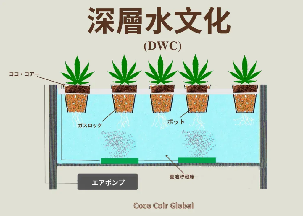 水耕栽培のシステムの選び方：失敗しない！最適なシステムを見つける究極ガイドです