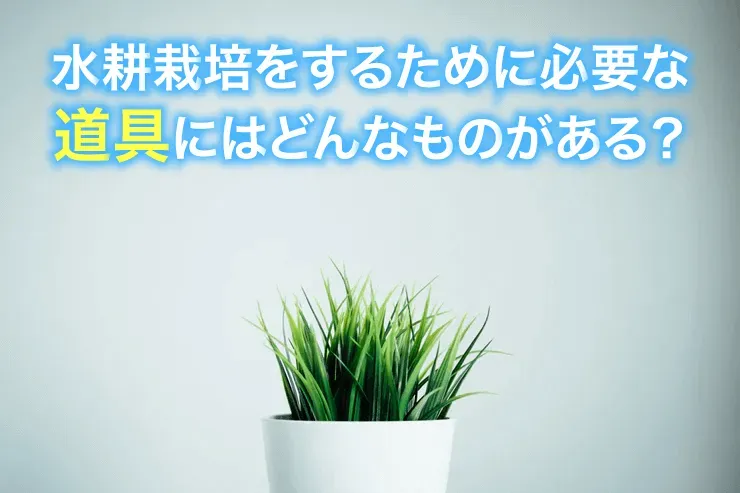 【絶対成功！】初めてでも安心！水耕栽培の必要な道具と始め方ガイド