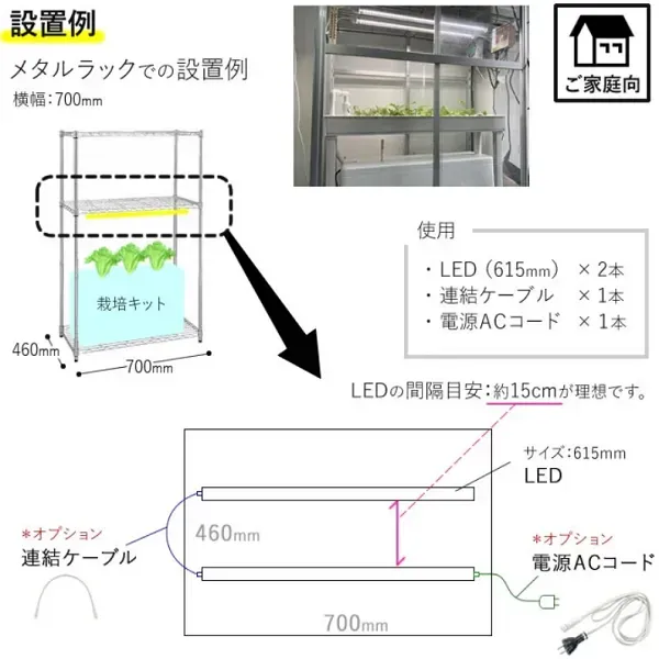 水耕栽培の電気代を賢く抑える！知らなきゃ損する驚異の節約術を大公開