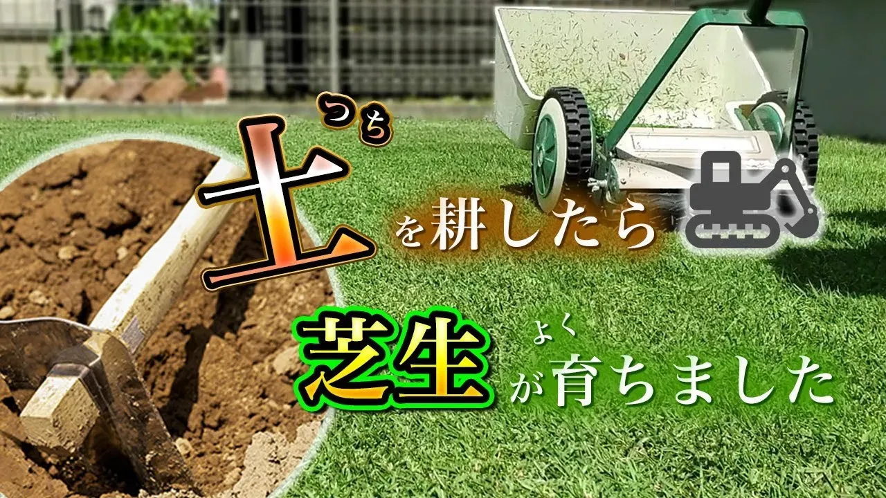 芝生の土壌改良方法：初心者でも簡単！失敗しないための必須ステップ