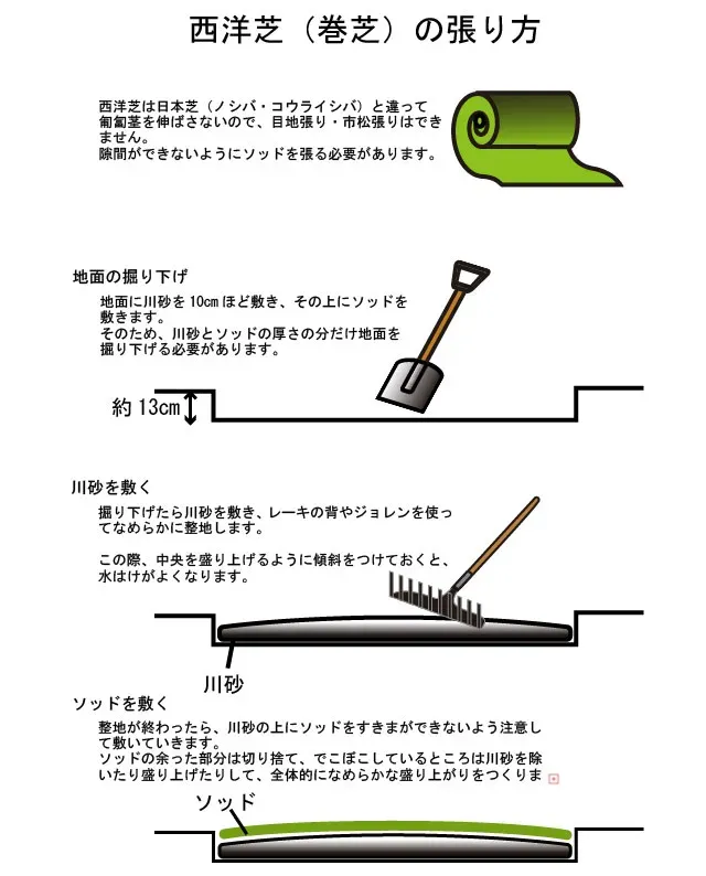 簡単なのに驚くほど美しい！芝生の張り方ガイド決定版