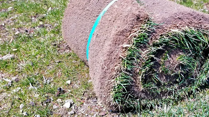 もう悩まない！あなたの庭を最高の状態にする芝生の張替え時期と失敗しない完全ガイド【決定版】