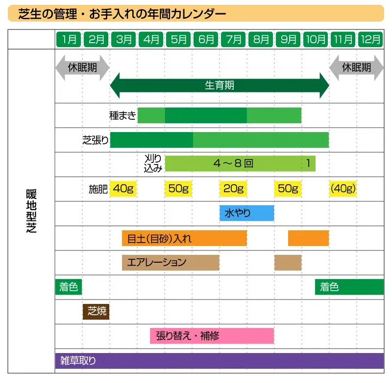 【完全ガイド】もう悩まない！芝生の手入れの年間スケジュール