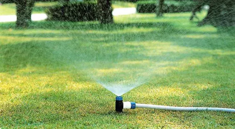 芝生の水やり頻度：絶対成功！プロが教える、あなたの庭が劇的に変わる、季節ごとの完璧ガイド